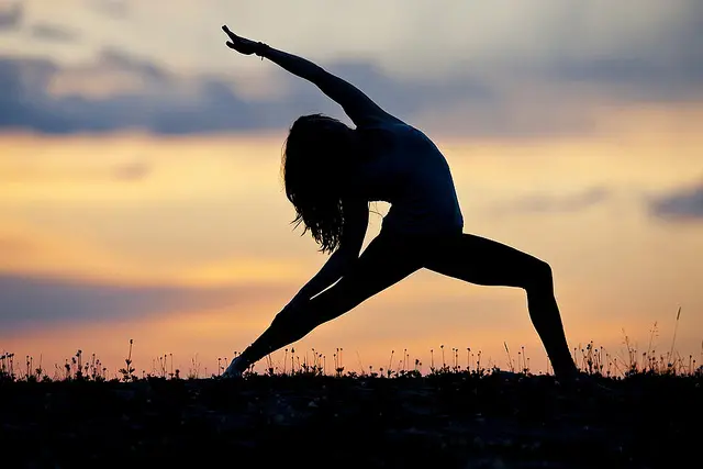 Što je yoga? 6 Što je yoga?