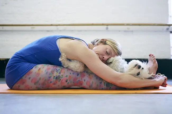 Doga: Vježbanje joge sa psom
