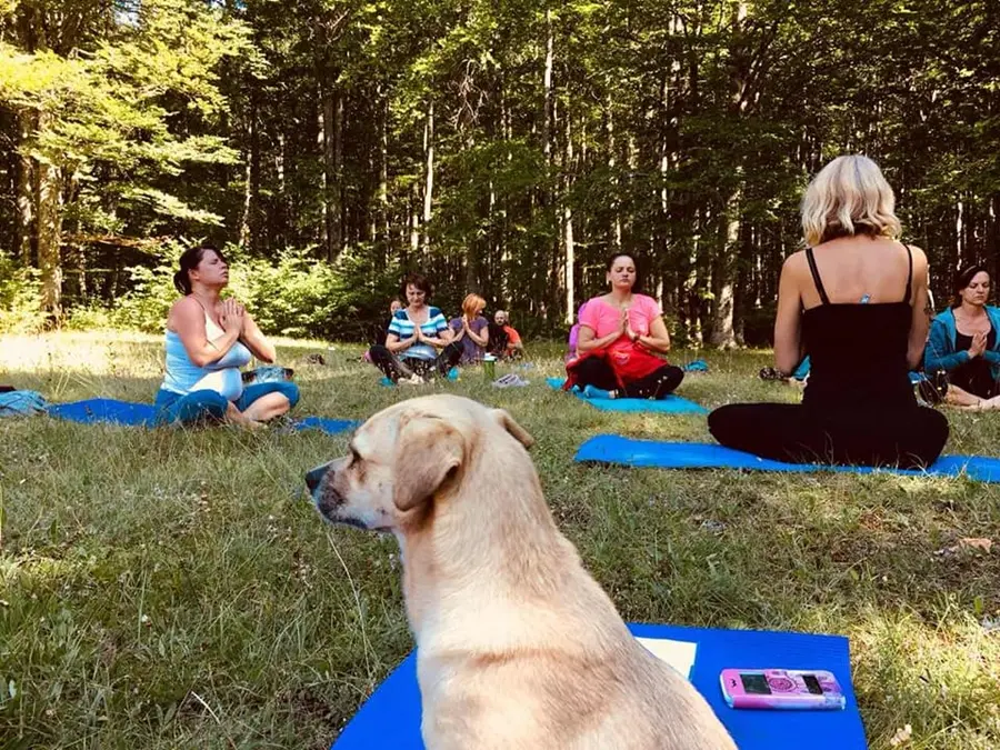 Vikend joga retreat u Fužinama 19 Vikend joga retreat u Fužinama